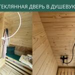 Стеклянная дверь в душевую, фото 6